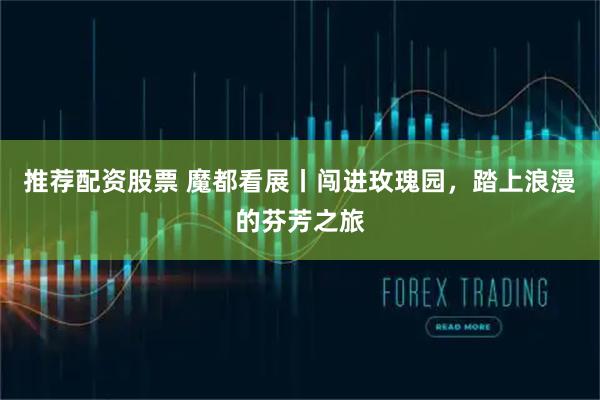 推荐配资股票 魔都看展丨闯进玫瑰园，踏上浪漫的芬芳之旅