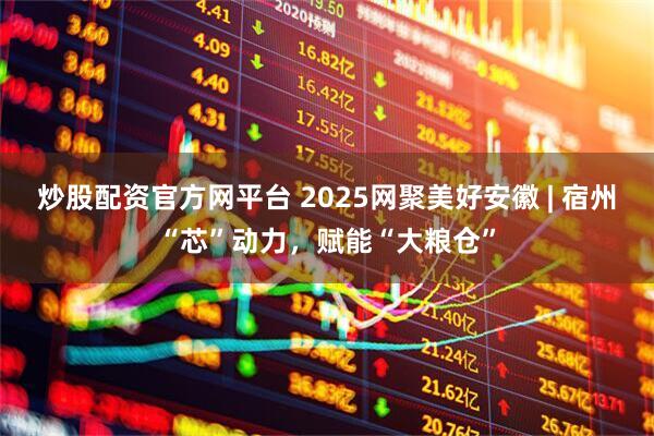 炒股配资官方网平台 2025网聚美好安徽 | 宿州“芯”动力，赋能“大粮仓”